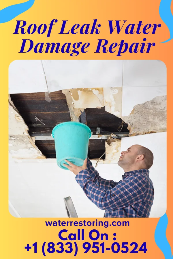 Roof Leak Water Damage Repair in Fredericksburg, TX